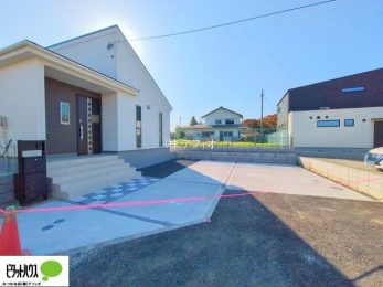 �@���n�����ʐ^�F2025�N11��7��