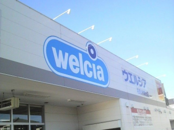 ���ӊ��@�E�G���V�A�Ԍ����V��X �k��8���B 630m