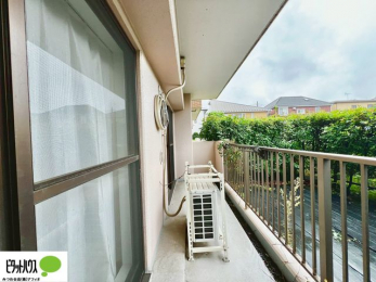 ���̑��@�z������̗ǂ��L�X�o���R�j�[�B