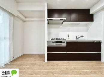 �L�b�`���@�s�J�s�J�̃L�b�`���͖����̂��������y�������Ă���܂��ˁB