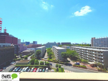 ���̑��@���]