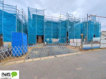 �@���n�����ʐ^�F2025�N11��11��