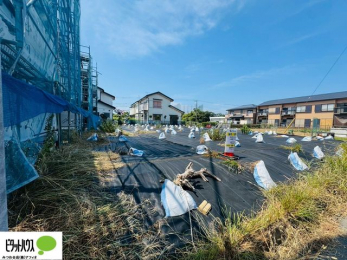 �y�n�ʐ^�@�����ʐ^�F2025�N8��29��