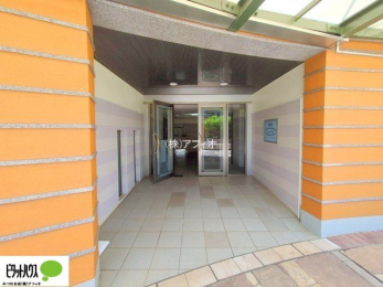 �G���g�����X�@�L�X�Ƃ������ꂢ�ȃG���g�����X