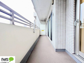 �o���R�j�[�@�z������̗ǂ��L�X�o���R�j�[�B