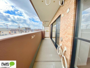 �o���R�j�[�@�z�c�₽������̐��󕨂������郏�C�h�o���R�j�[