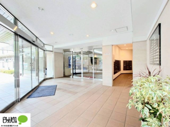 �G���g�����X�@�L�X�Ƃ������ꂢ�ȃG���g�����X