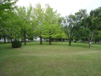 ���ӊ��@�ŒÑ�2���� �k��10���B 770m