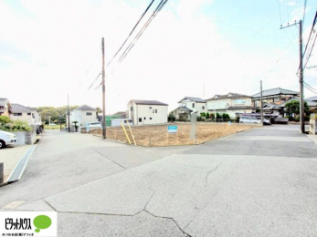 �y�n�ʐ^�@�J�����̂���p�n�I