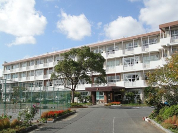 ���ӊ��@��t�s��/�^�����w�Z �k��7���B 530m