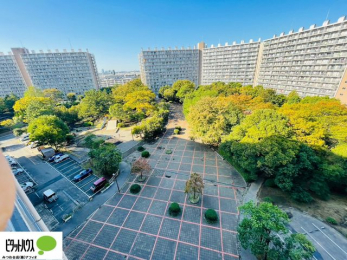 ���ԏ�@���ԏ�