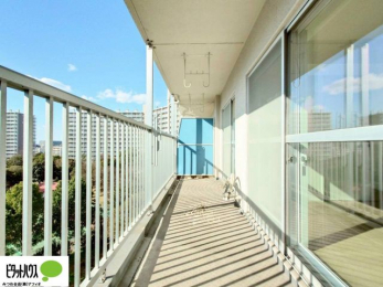 �o���R�j�[�@�z������̗ǂ��L�X�o���R�j�[�B