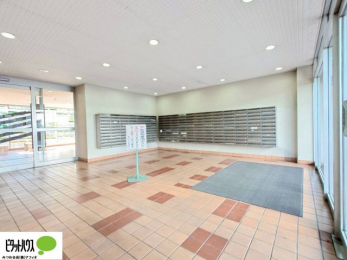 �G���g�����X�@�L�X�Ƃ������ꂢ�ȃG���g�����X