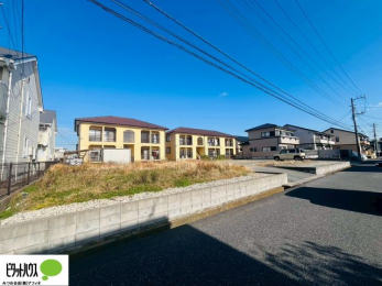 �y�n�ʐ^�@�~�n�L�X��50��