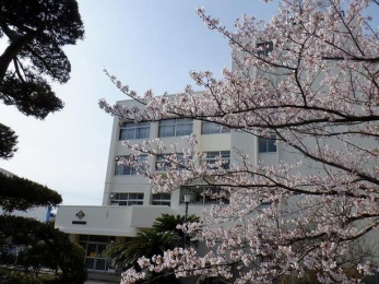 ���ӊ��@�D���s���@�ŎR�����w�Z �k��7���B 560m