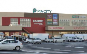 ���ӊ��@�J�X�~�t�[�h�X�N�G�A�����V�h�X �k��4���B 270m