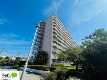 �O�ώʐ^�@���n�O�ώʐ^