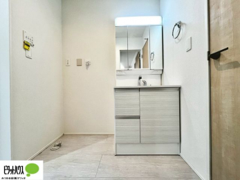 ���ʑ�E���ʏ��@�O�ʋ��̗���A�V���N���ȂǑ������[��������A�L�X�Ƃ������ʉ��ϑ�ł��B