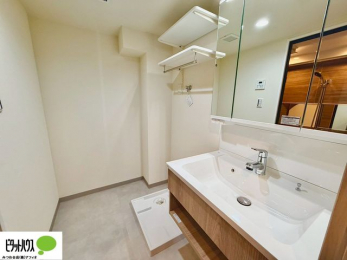 ���ʑ�E���ʏ��@�O�ʋ��̗���A�V���N���ȂǑ������[��������A�L�X�Ƃ������ʉ��ϑ�ł��B