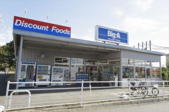 ���ӊ��@�r�b�O�E�G�[����㔪���䐼�X �k��14���B 1100m