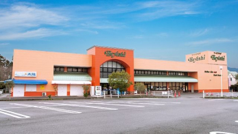 ���ӊ��@�t�[�h�v���U�n���V/�����X �k��38���B 3000m