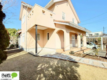 ���̑��@�e���X