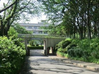 ���ӊ��@��t�s��/�����w�Z �k��9���B 650m