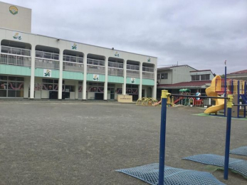 ���ӊ��@����ۂۗc�t�� �k��8���B 600m