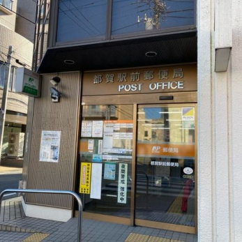 ���[�@�傫�ȑ����疾�邢�z�˂�������܂��B