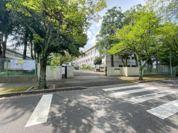 ���ӊ��@�D���s��/�K�u��䒆�w�Z �k��6���B 480m