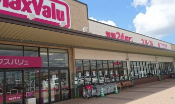 ���ӊ��@�}�b�N�X�o������ђ����X �k��6���B 480m