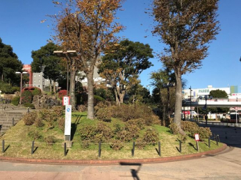 ���ӊ��@�Óc������ �k��8���B 630m