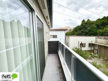 �o���R�j�[�@�z������̗ǂ��L�X�o���R�j�[�B