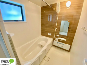 �����@�{�H��ʐ^�@�����������F���̗����ŁA1���̔��������������Ă��������B