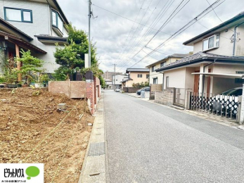 ���̑��@11��16���@���n�����ʐ^