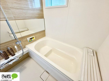 �����@�{�H��ʐ^�F�����������F���̗����ŁA1���̔��������������Ă��������B