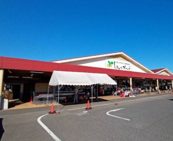 ���ӊ��@JA��t�݂炢�_�Y�����������傢���[��/��t�X �k��10���B 740m