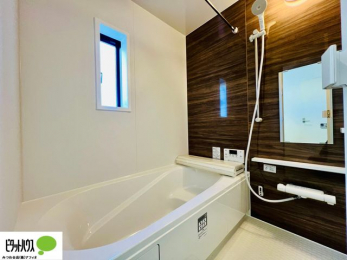 �����@�{�H��ʐ^�@�����������F���̗����ŁA1���̔��������������Ă��������B