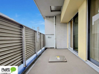 ���̑��@�z�c�₽������̐��󕨂������郏�C�h�o���R�j�[