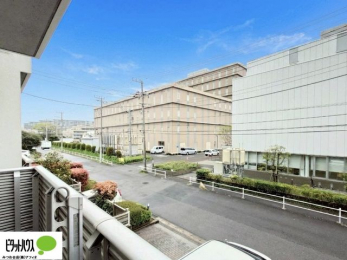 ���̑��@�o���R�j�[����̒��]�B