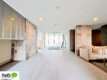 ���̑��@���r�[