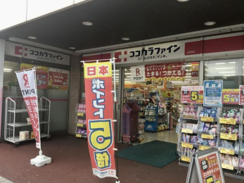 ���ӊ��@�R�R�J���t�@�C���P��X �k��7���B 560m