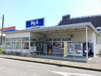 ���ӊ��@�r�b�O�E�G�[��t�^���X �k��2���B 140m