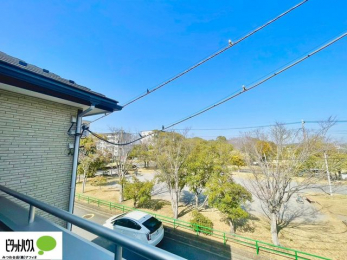 ���̑��@�o���R�j�[����̒��]�B