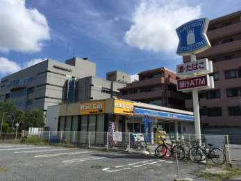 ���ӊ��@���[�\����t�K���X �k��3���B 230m