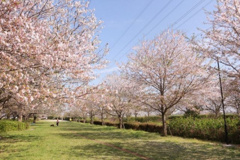 ���ӊ��@�k�܈�Γ� �k��7���B 510m