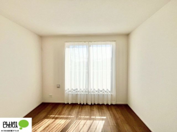 ���̑����ρ@�傫�ȑ����疾�邢�z�˂�������܂��B