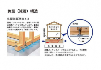 �O�ώʐ^�@���}�F2����