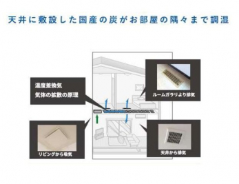 �q�������@�傫�Ȏ��[�͂��m����ׂ����G�݂������Ղ肵�܂��܂��B