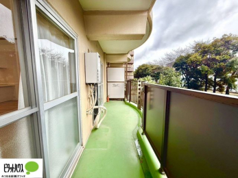 �o���R�j�[�@�z������̗ǂ��L�X�o���R�j�[�B